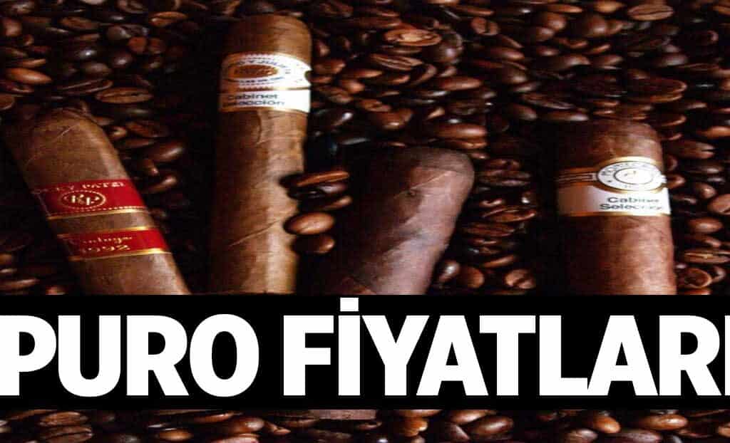 Puro Fiyatlari 1024x622M47.jpg