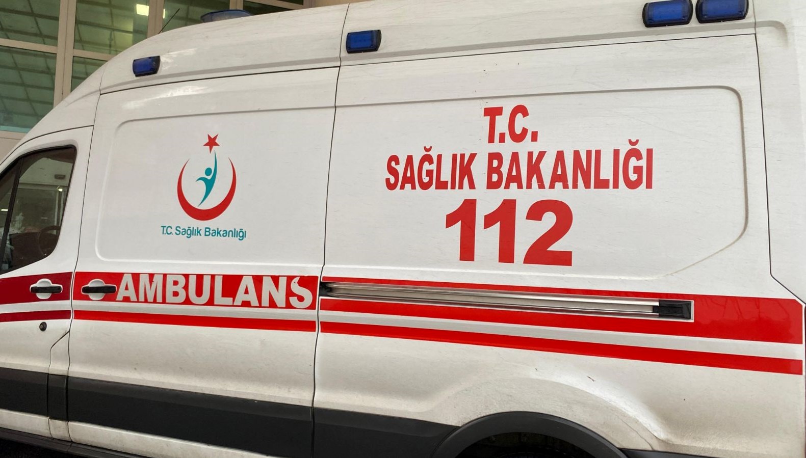 budamak istedigi agac sonu oldu JLc7z3VN.jpg