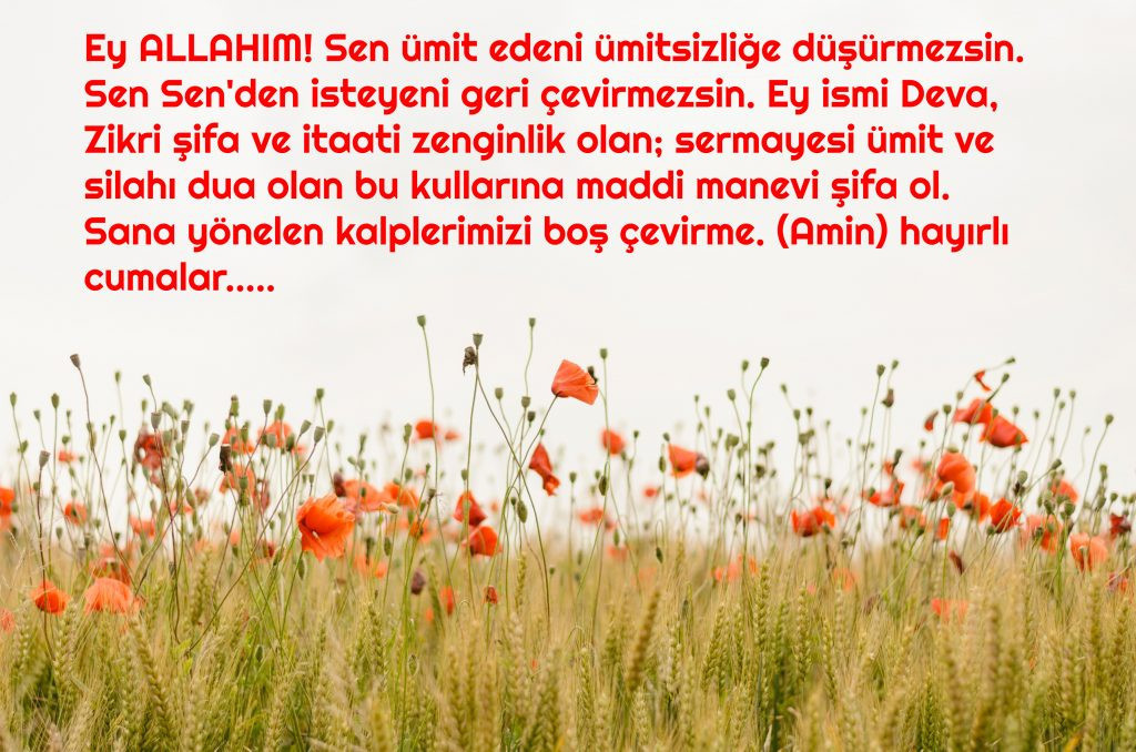 Cuma Mesajları