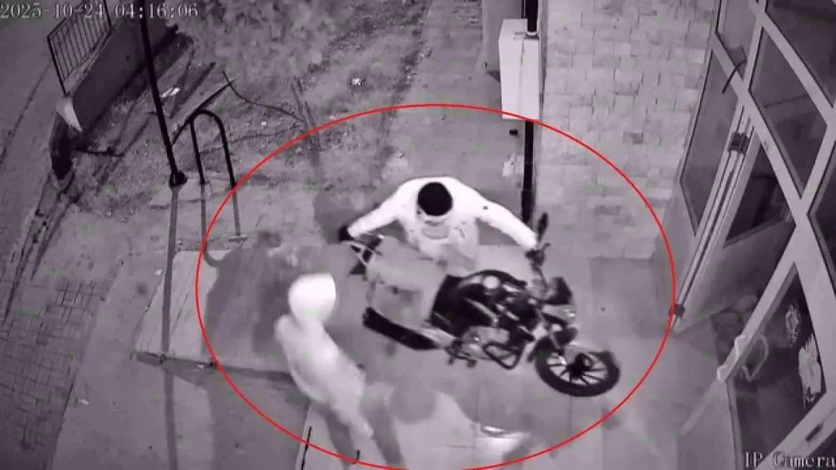 hatayda motosiklet hirsizligi guvenlik kamerasinda OqJX9jEz.jpg